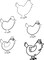 How to Draw Animals Step by Step Chicken image 1